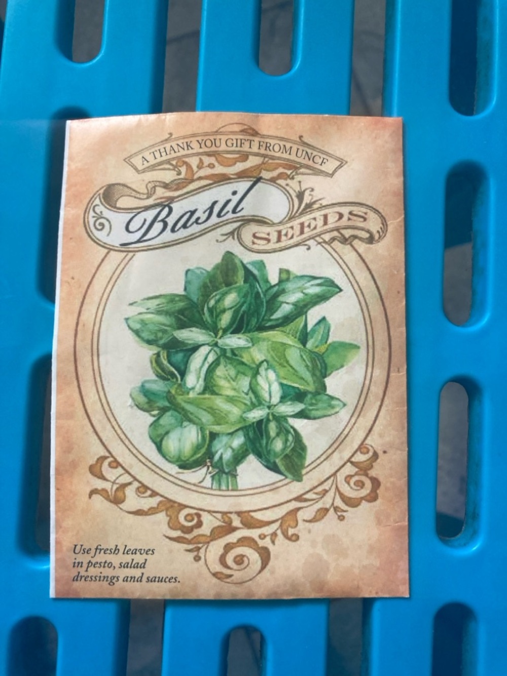 Basil Seeds Packet - Green Herb Illustration